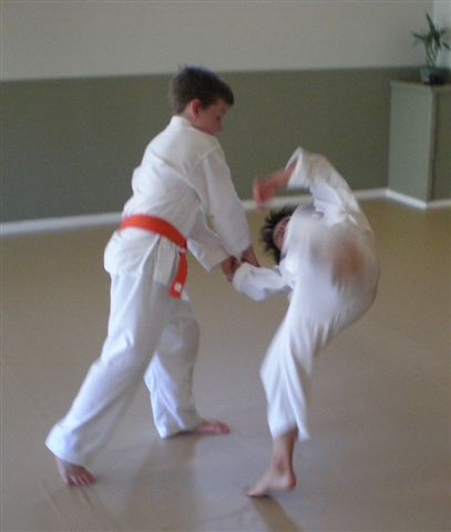 Martial Arts for Teens and Children